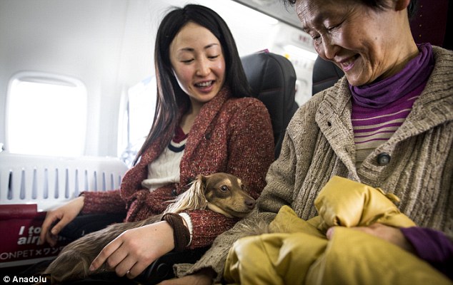 El primer vuelo con mascotas a bordo en cabina