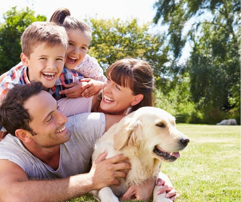 Enfermedades Que Transmiten Los Perros A Las Personas Alucinar S