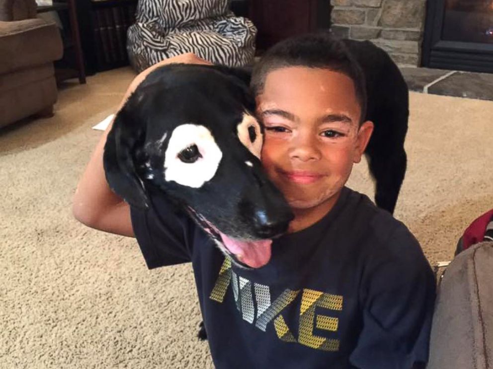 niño y perro con vitiligo