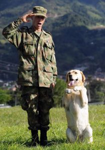 saludo soldado y perro