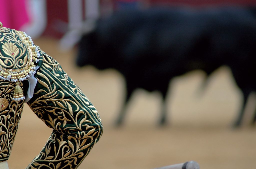 Pacma recoge firmas contra bajada de IVA a los toros