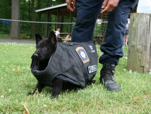 traje perro policia