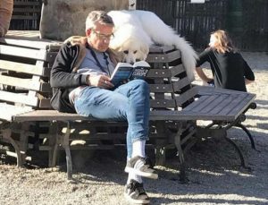 perro leyendo con humano