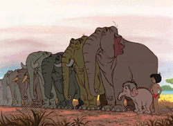 elefantes el libro de la selva