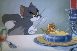 los ratones no solo comen queso
