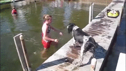 perro cae al agua
