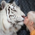 mujer vive con tigres