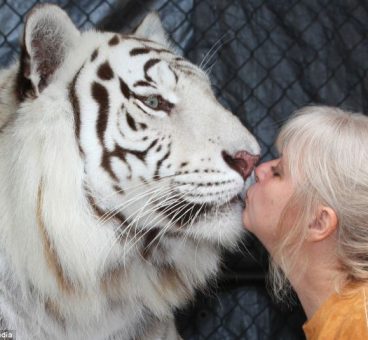 mujer vive con tigres