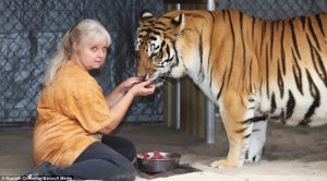 tigre comiendo