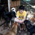 Un niño montó su propio refugio para animales