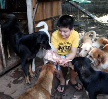 Un niño montó su propio refugio para animales