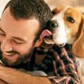 Consejos para mejorar la convivencia con tu mascota