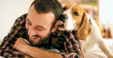 Consejos para mejorar la convivencia con tu mascota
