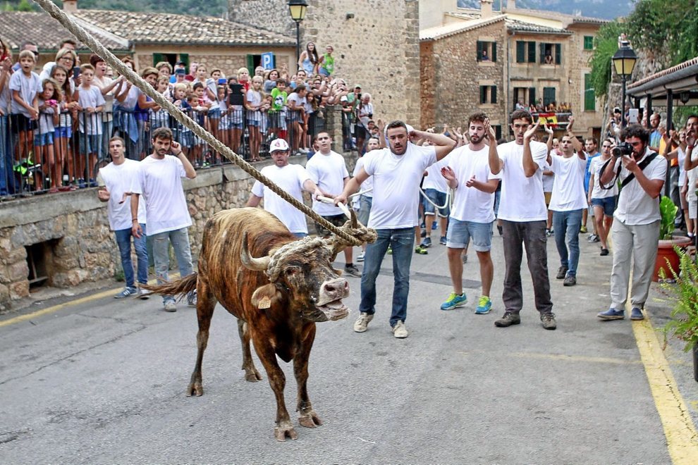 PACMA consigue que un municipio de Girona prohiba el correbou