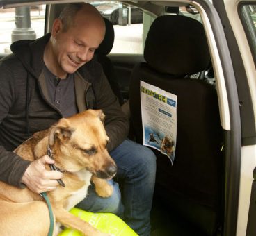 Un taxista rebaja el viaje a quienes adopten un perro de la perrera