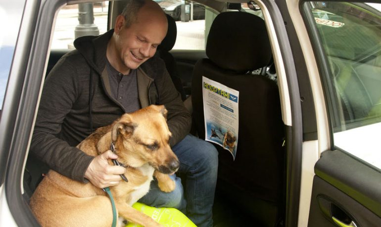 Un taxista rebaja el viaje a quienes adopten un perro de la perrera