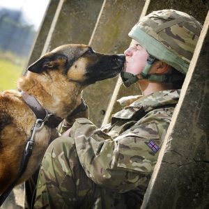 perro besando soldado