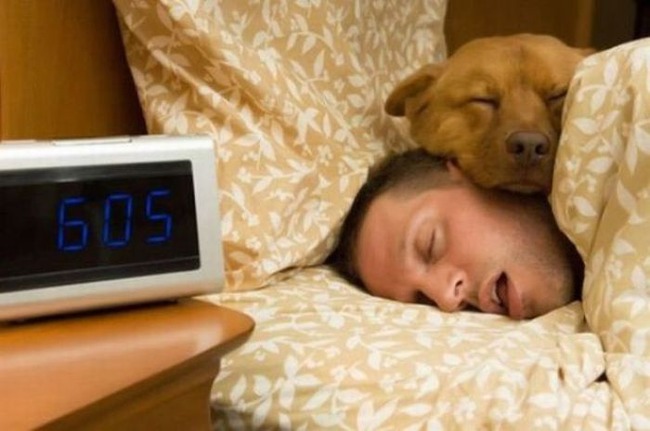 dormir con tu mascota