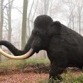 Un mamut