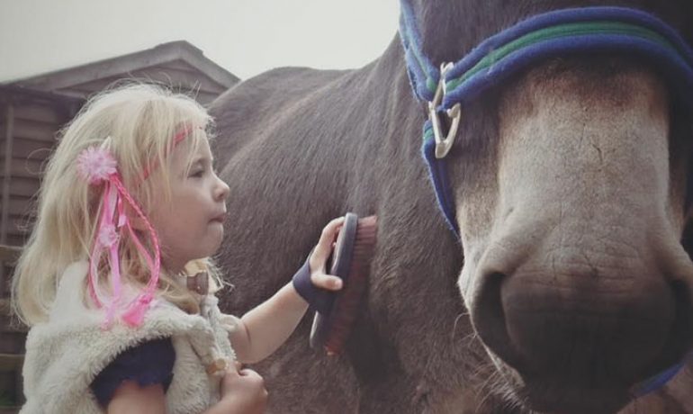 Descubre al burro que salvó a una niña con parálisis cerebral