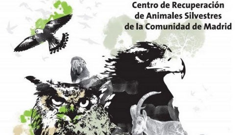 Madrid organiza un curso de cazadores en un Centro de Recuperación de Animales