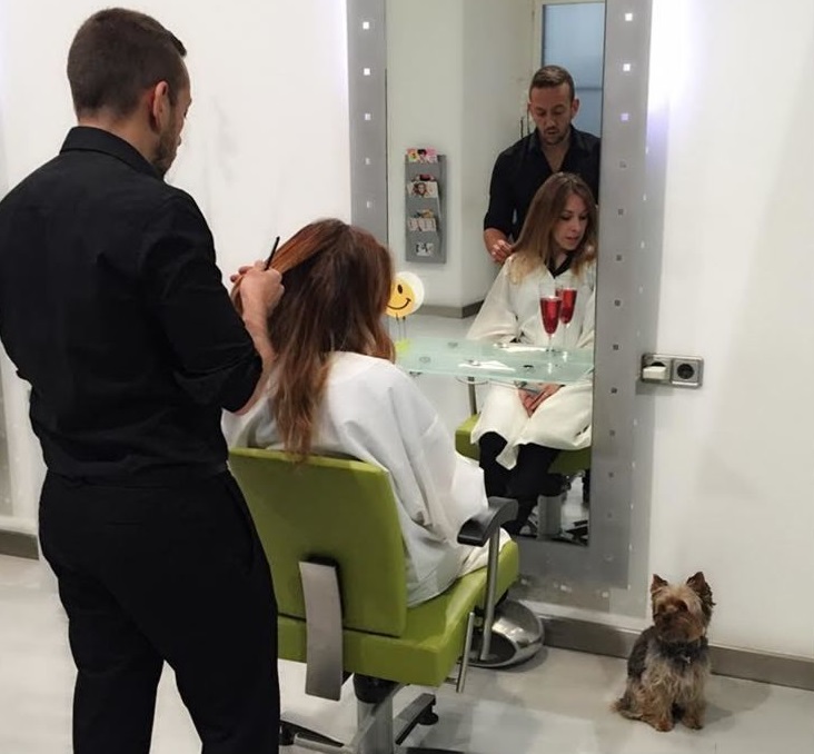 Descubre los mejores lugares DogFriendly en Madrid · Wakyma