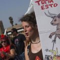 se manifiestan en Sevilla en contra de la tauromaquia
