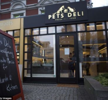 Abre sus puertas el primer restaurante para perros y gatos en Berlín