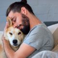 Cómo ganarse la confianza de un perro que ya te conoce