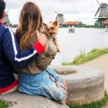 Las 5 ciudades más dogfriendly del mundo