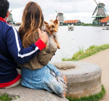 Las 5 ciudades más dogfriendly del mundo