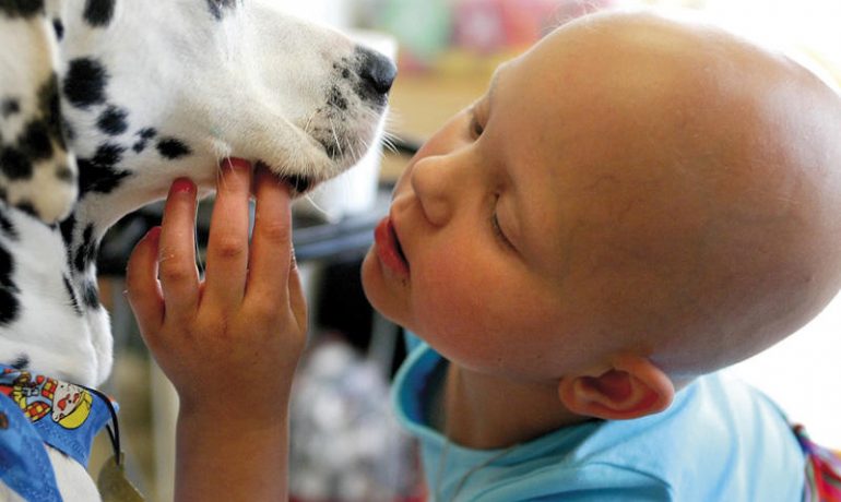 Los perros pueden curar los dolores físicos de los niños