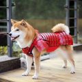 Armaduras de samurái para perros y gatos japoneses
