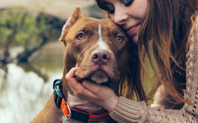 Te Lo Contamos TODO De La Etología Canina, ¿qué Es Y Para Qué Sirve?