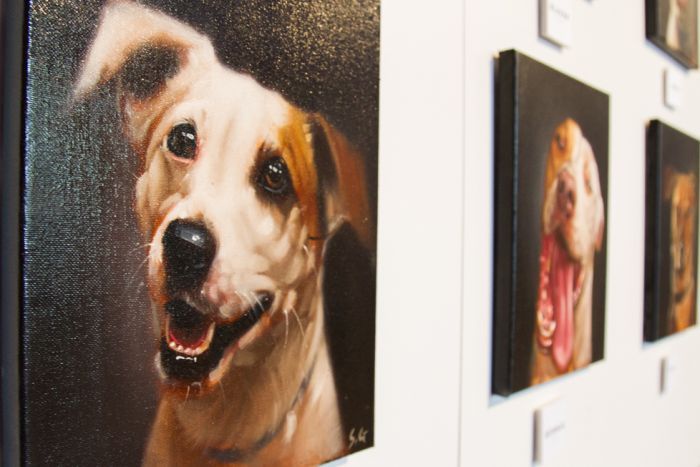 Un artista pinta 100 retratos de perros para fomentar su adopción