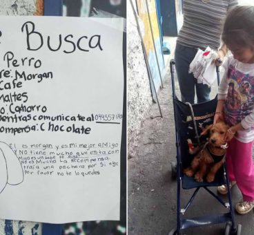 Esta niña recuperó a su perro gracias a su propio dibujo