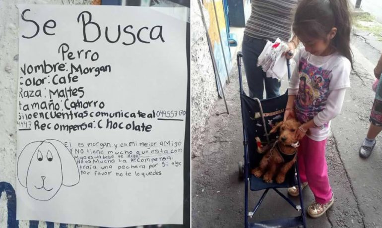 Esta niña recuperó a su perro gracias a su propio dibujo