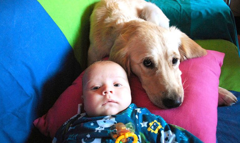 Un perro salva la vida a un bebe de unas semanas