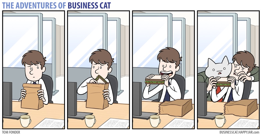 the adventures of business cat