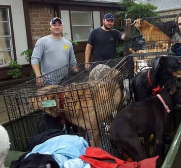 Esta heroína ha rescatado 21 perros en Houston