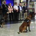 Los perros ya llevan un año utilizando el Metro de Madrid