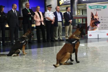 Los perros ya llevan un año utilizando el Metro de Madrid