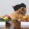 Cómo mejora la salud de nuestra mascota con la dieta BARF para perros