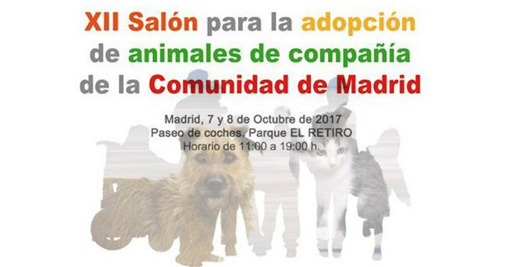 Feria de adopción de mascotas en Madrid