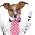 Recetas de comida para perros - Auténtica comida casera
