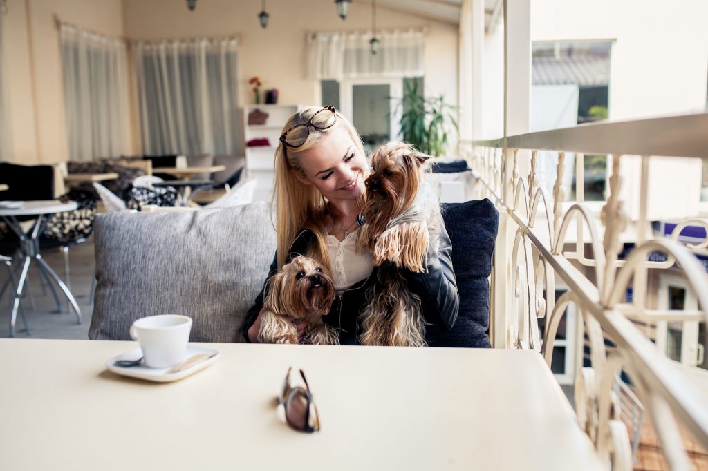 Guía de restaurantes dog friendly en Madrid Wakyma