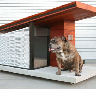 Ya puedes comprar la casa de perro más lujosa del mercado