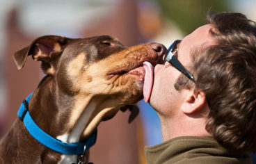 Besos de perro: te contamos si ocasionan problemas para tu salud