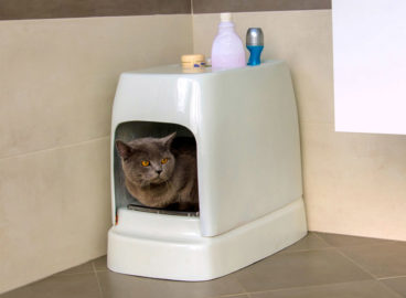 Catolet- El inodoro automático para gatos y perros pequeños