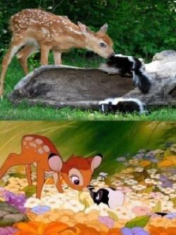 bambi y flor